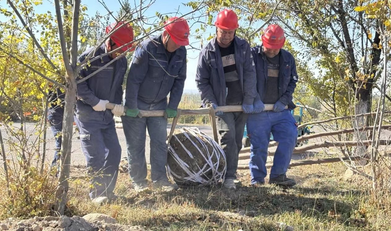 ac5f97fb-b491-11f0-b5ce-fea6c39cc3af.jpg ac5f97fb-b491-11f0-b5ce-fea6c39cc3af.jpg