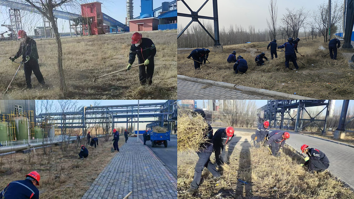 1d7e003d-cff5-11f0-b773-fea6c39cc3af.jpg 1d7e003d-cff5-11f0-b773-fea6c39cc3af.jpg